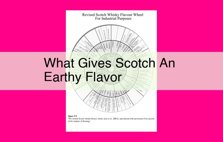 what gives scotch an earthy flavor