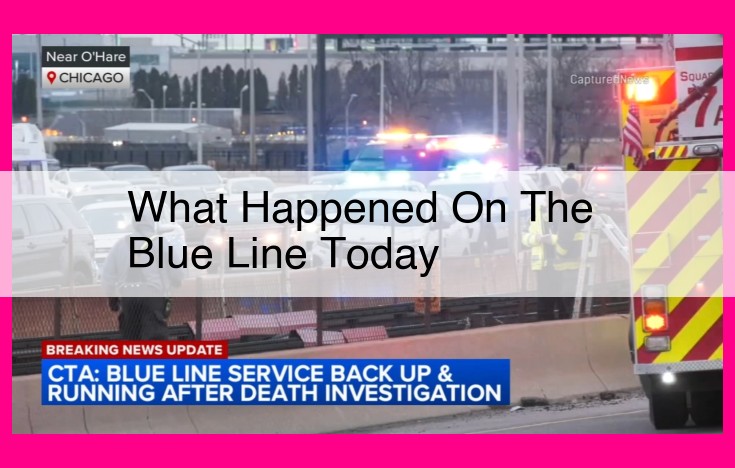 what happened on the blue line today