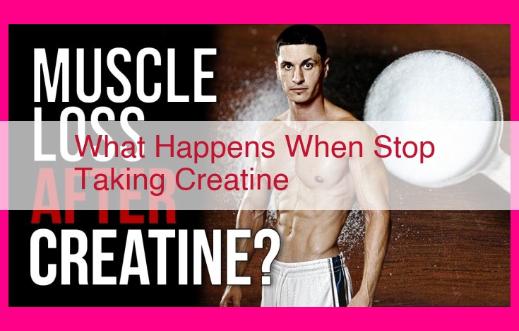 what happens when stop taking creatine