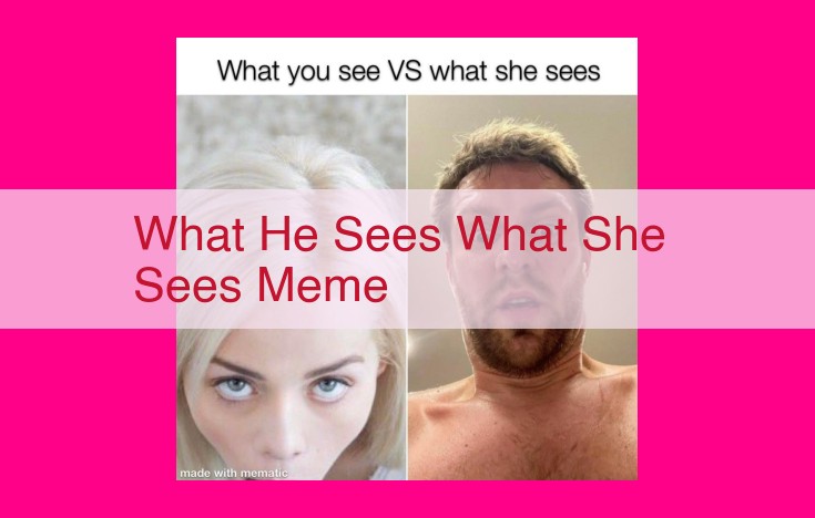 what he sees what she sees meme