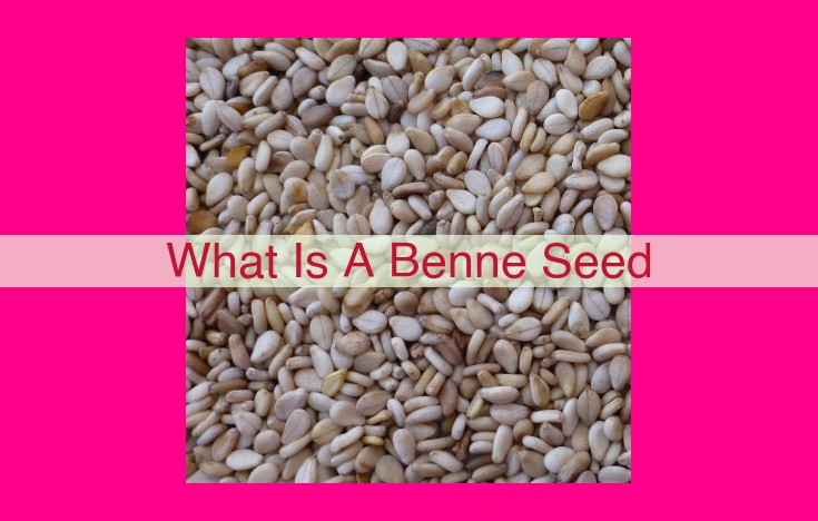 what is a benne seed