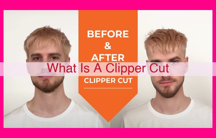 what is a clipper cut