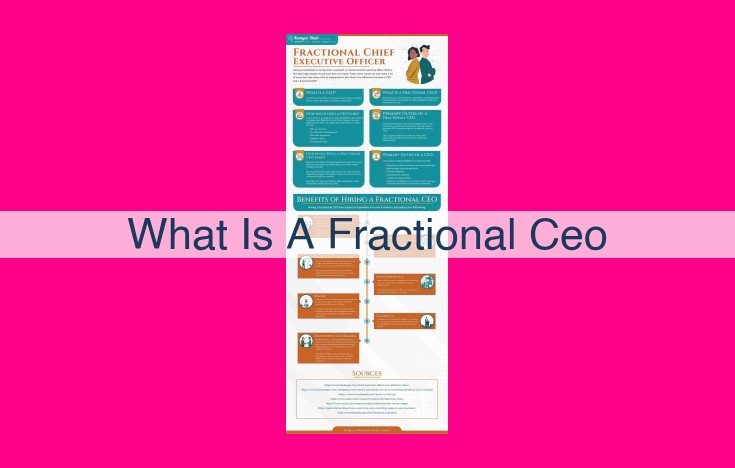 what is a fractional ceo