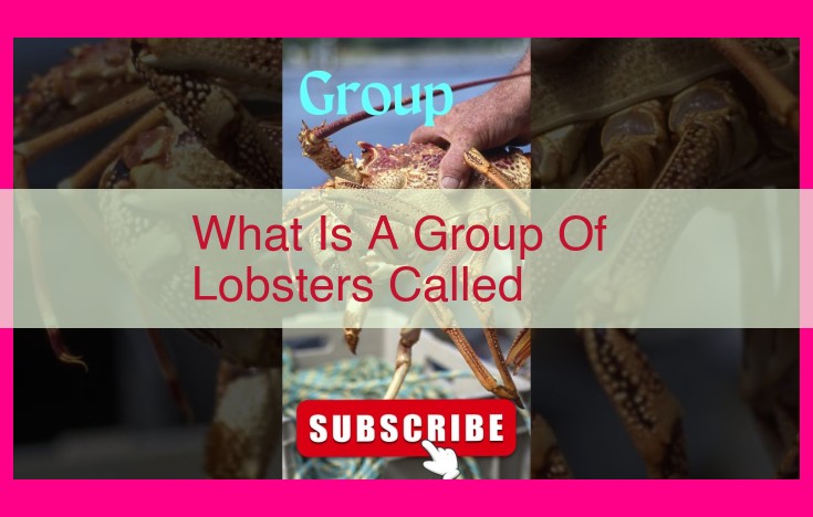 what is a group of lobsters called