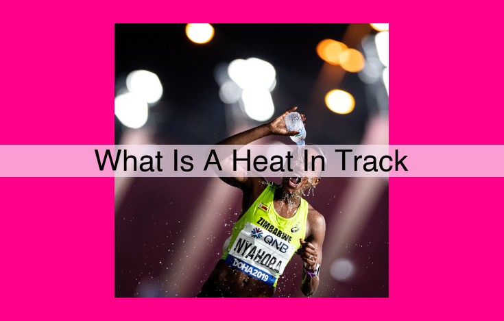 what is a heat in track