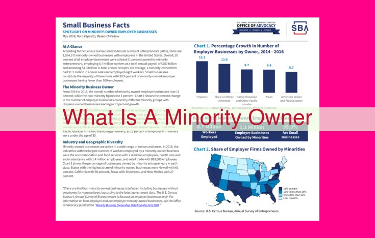 what is a minority owner