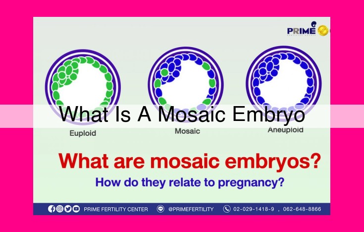 what is a mosaic embryo