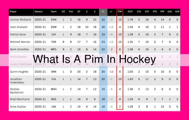 what is a pim in hockey