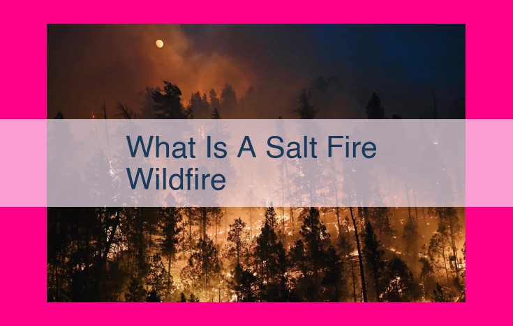 what is a salt fire wildfire