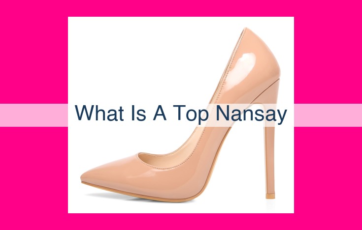 what is a top nansay