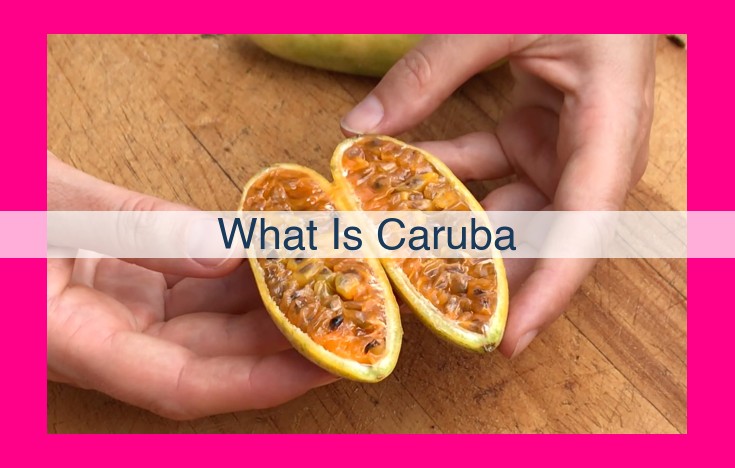 what is caruba