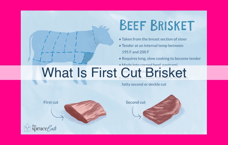 what is first cut brisket