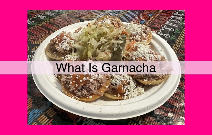 what is garnacha