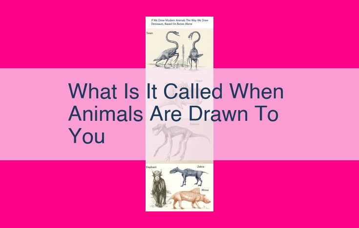 what is it called when animals are drawn to you