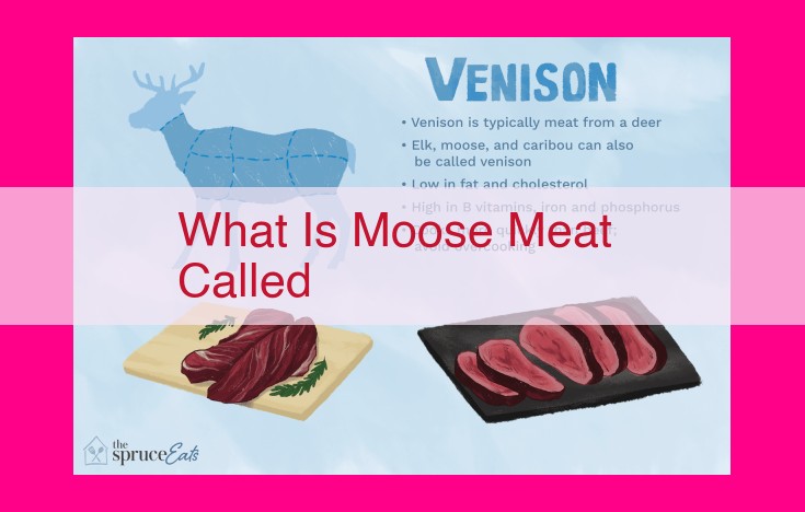 what is moose meat called