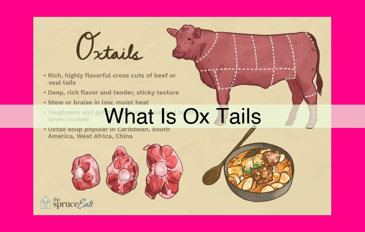 what is ox tails