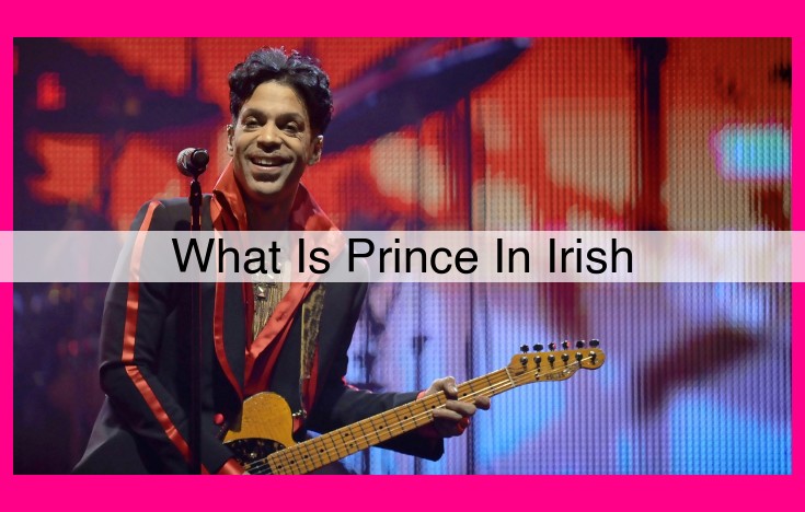 what is prince in irish