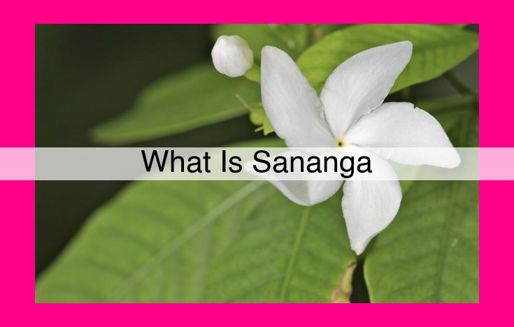 what is sananga