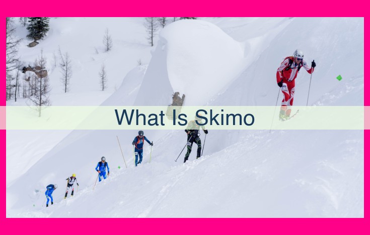 what is skimo