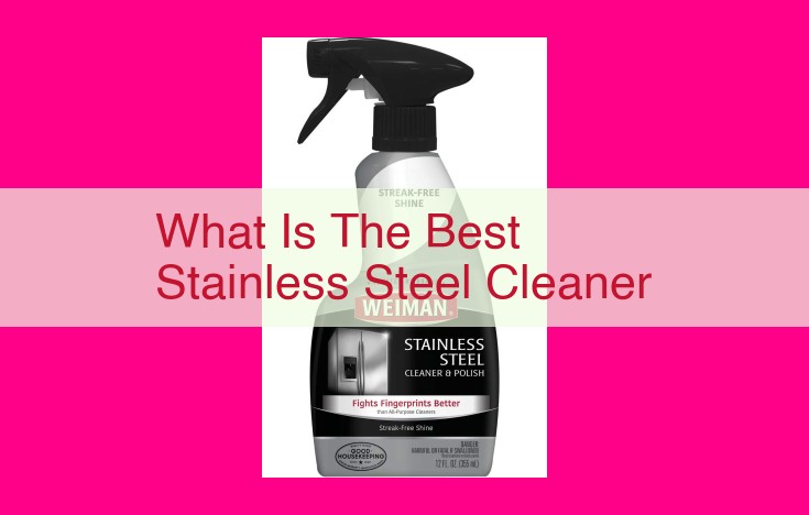 what is the best stainless steel cleaner