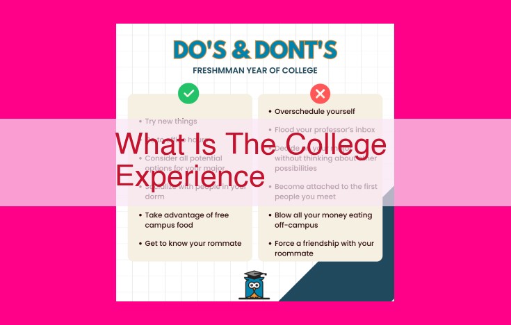 what is the college experience