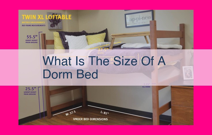 what is the size of a dorm bed