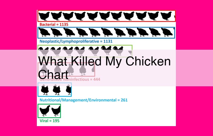 what killed my chicken chart