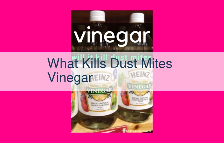 what kills dust mites vinegar