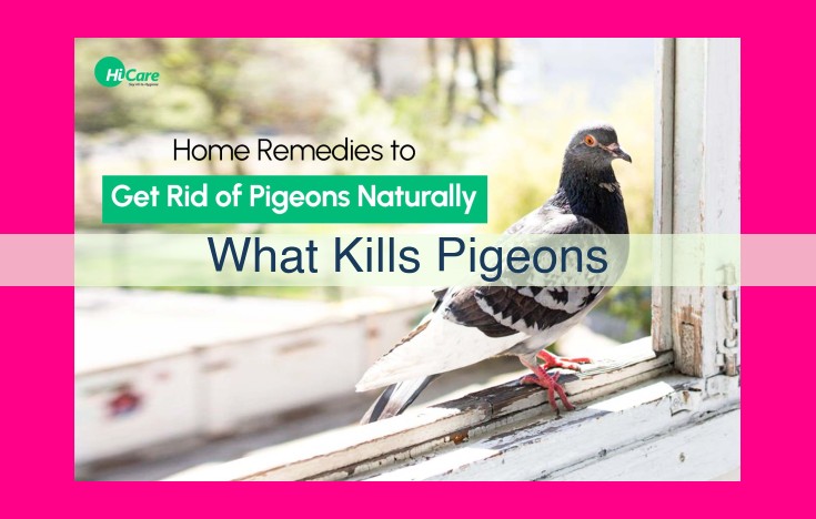 what kills pigeons