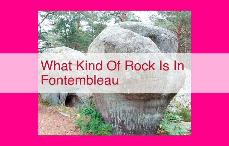 what kind of rock is in fontembleau