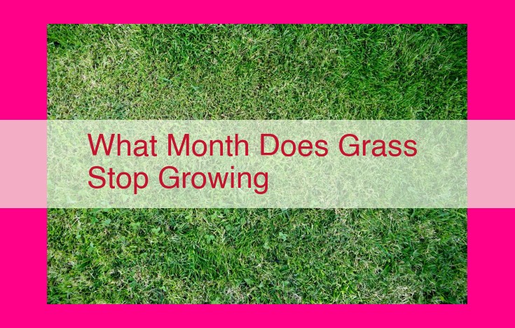 what month does grass stop growing