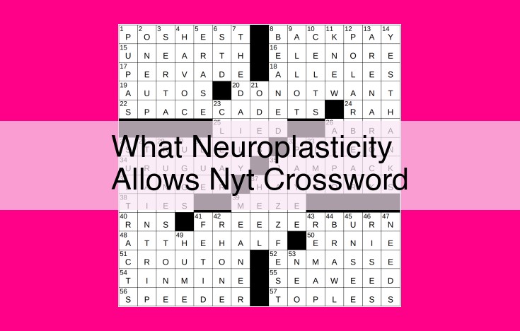 what neuroplasticity allows nyt crossword