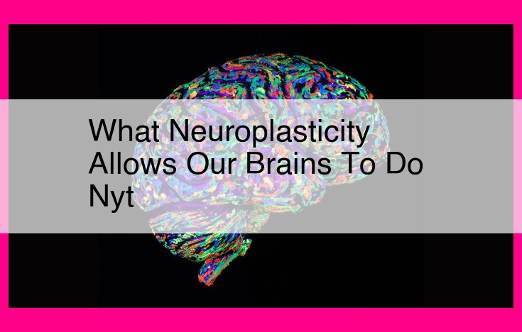 what neuroplasticity allows our brains to do nyt