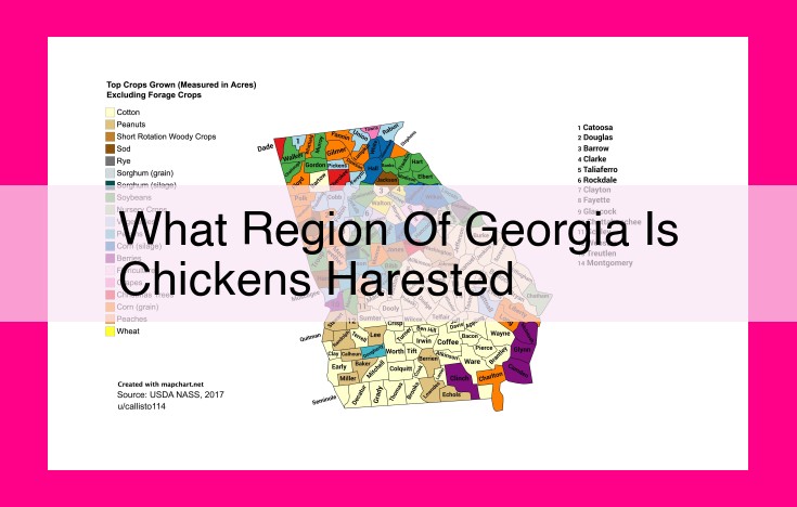 what region of georgia is chickens harested