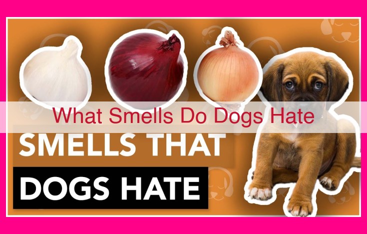 what smells do dogs hate