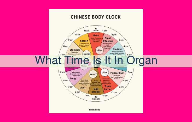 what time is it in organ