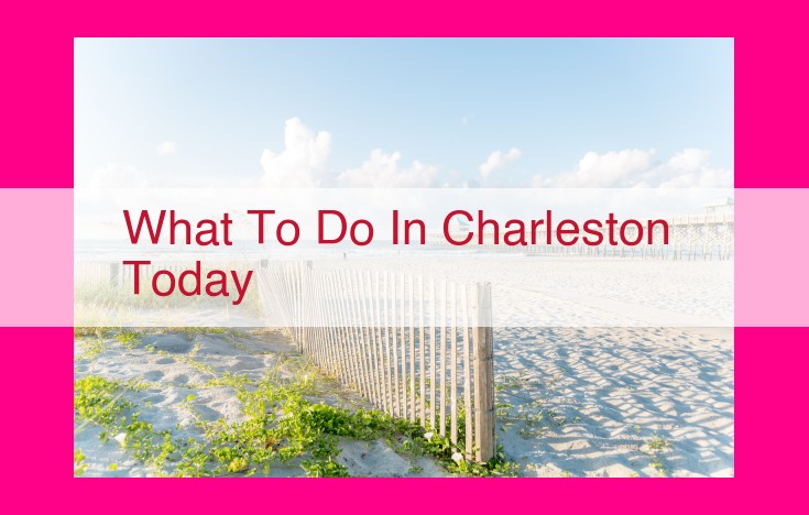 what to do in charleston today