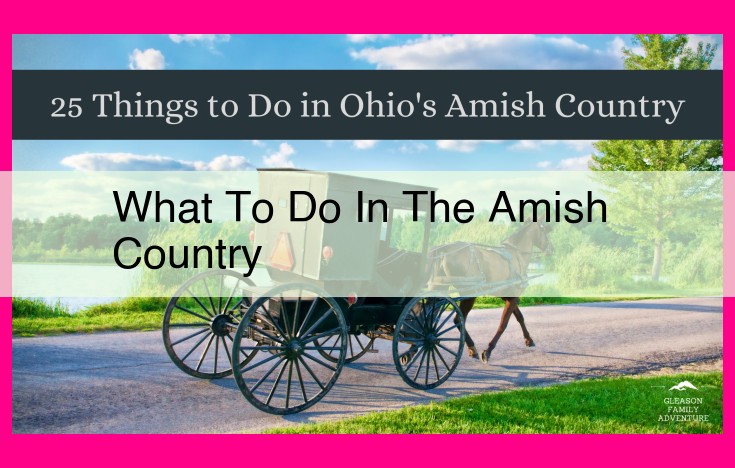 what to do in the amish country