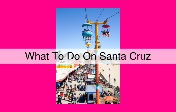 what to do on santa cruz