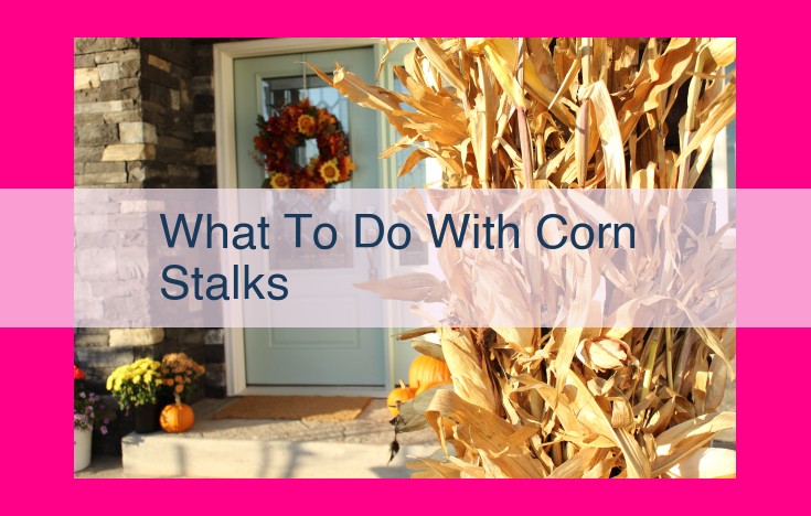 what to do with corn stalks