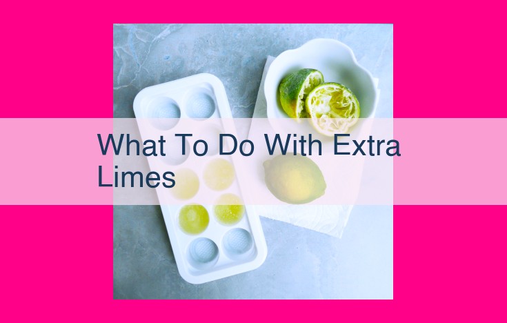 what to do with extra limes