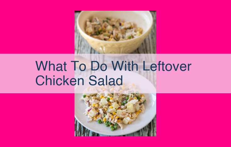 what to do with leftover chicken salad