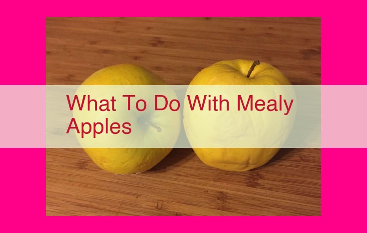 what to do with mealy apples