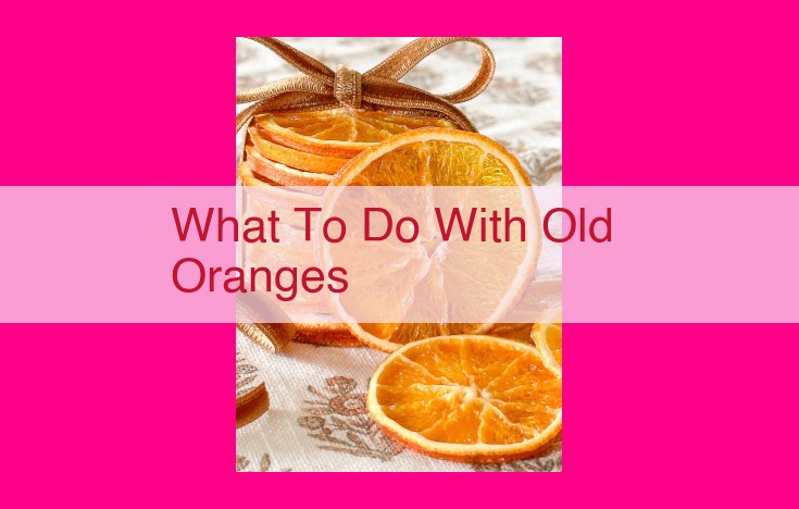 what to do with old oranges