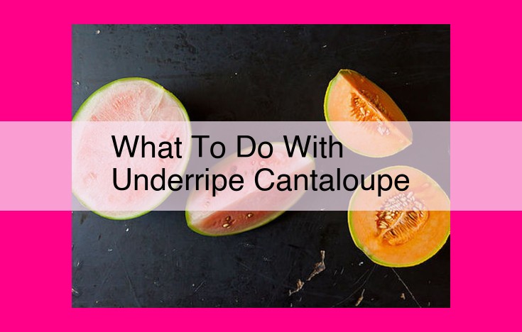 what to do with underripe cantaloupe