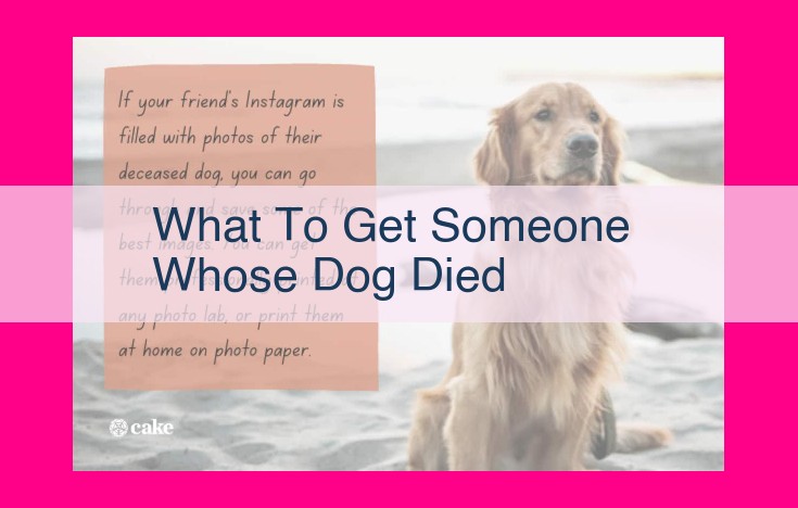 what to get someone whose dog died