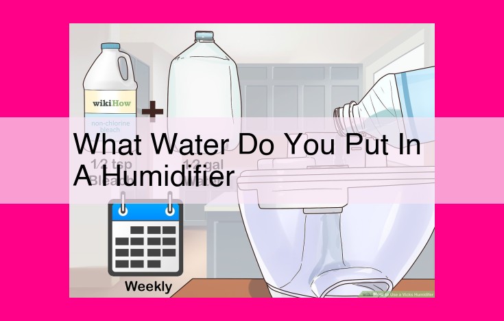 what water do you put in a humidifier