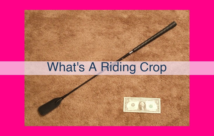 what's a riding crop