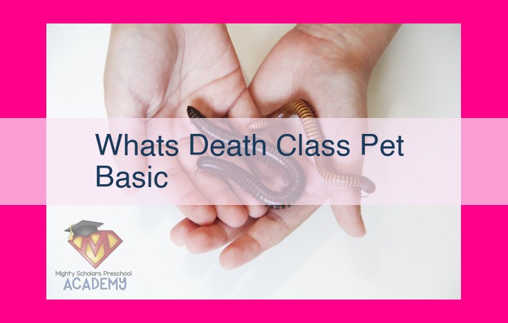 whats death class pet basic